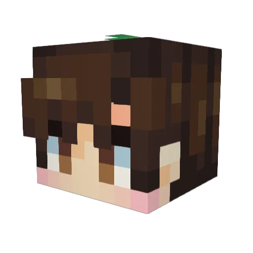Flyyss Minecraft avatar head, 3D render