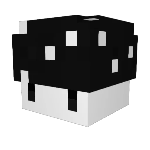 Flyyynn Minecraft avatar head, 3D render