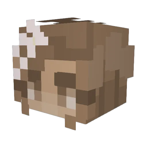 Flyzs Minecraft avatar head, 3D render