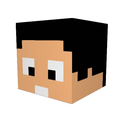 Flzoe Minecraft avatar head, 3D render