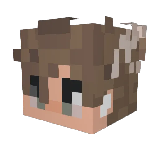 Flzzy_ Minecraft avatar head, 3D render