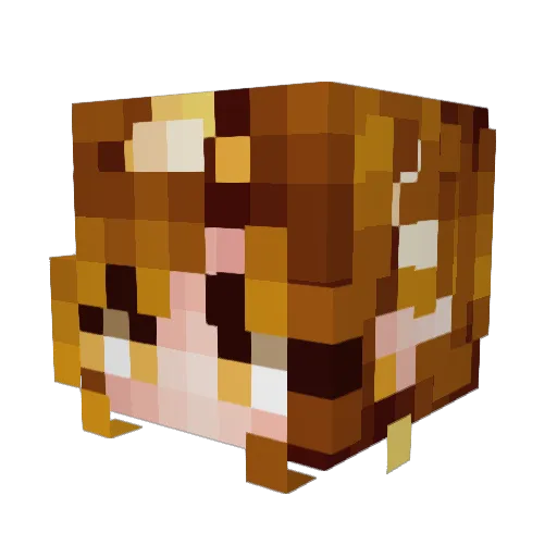 FmaFma Minecraft avatar head, 3D render