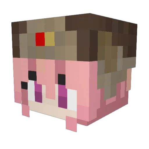FmbFinn Minecraft avatar head, 3D render
