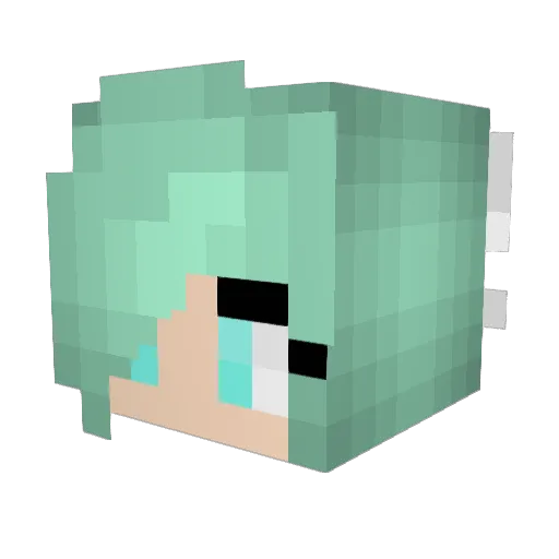 Fmwahid2001 Minecraft avatar head, 3D render