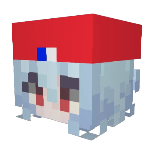 Fn2___ Minecraft avatar head, 3D render