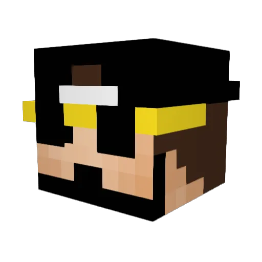 Fn_STunZz Minecraft avatar head, 3D render
