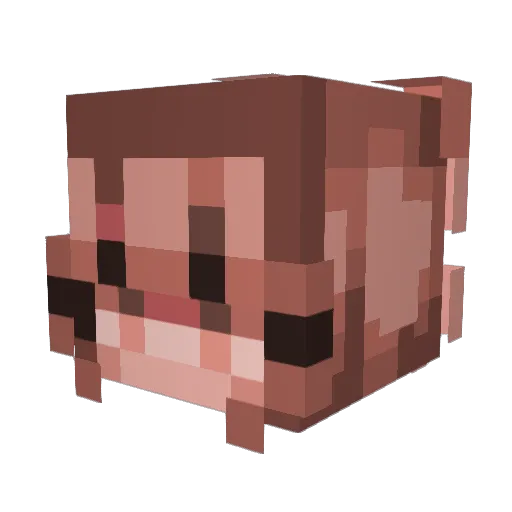 Fnarnis Minecraft avatar head, 3D render