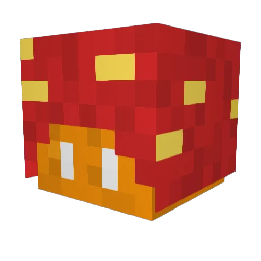 Fnaticuoco Minecraft avatar head, 3D render