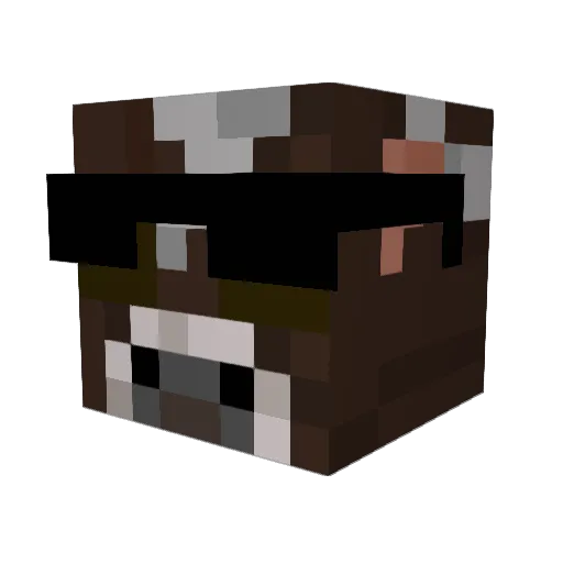 Fndane Minecraft avatar head, 3D render