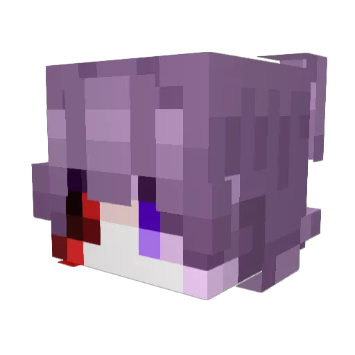 Fnideq Minecraft avatar head, 3D render