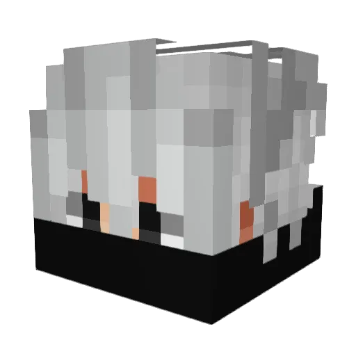 FnotON_ Minecraft avatar head, 3D render