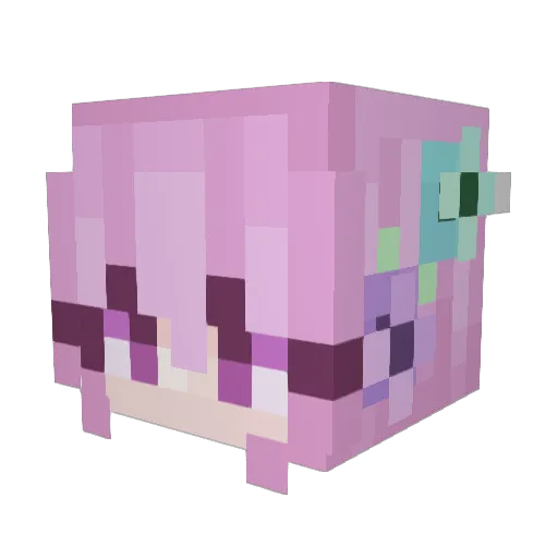 Fnusnu Minecraft avatar head, 3D render