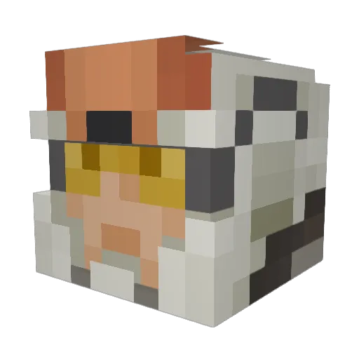 Fnvveteran Minecraft avatar head, 3D render