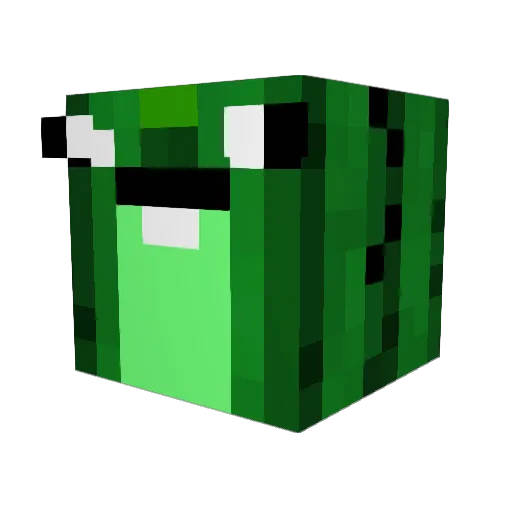 FoX_bBL Minecraft avatar head, 3D render