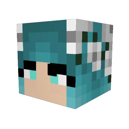 Foalan2000 Minecraft avatar head, 3D render