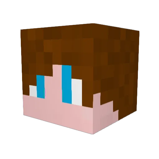 Foam04 Minecraft avatar head, 3D render