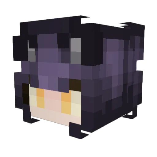 FoamshadowFS Minecraft avatar head, 3D render