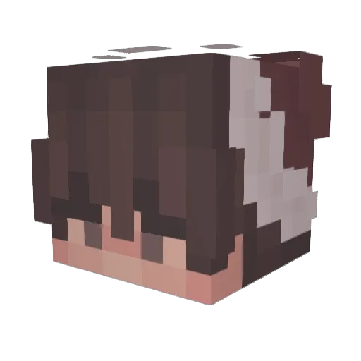 FoamyExpresso Minecraft avatar head, 3D render