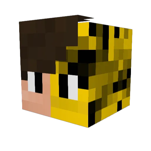 FobriYT Minecraft avatar head, 3D render