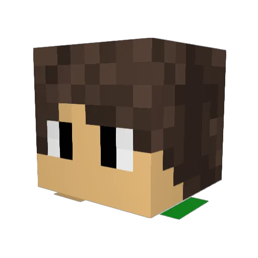 FochiCz Minecraft avatar head, 3D render