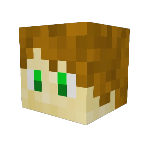 Focking_Kai Minecraft avatar head, 3D render