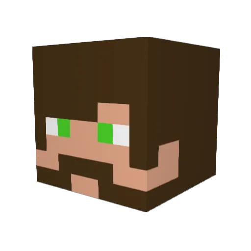 Focruz247 Minecraft avatar head, 3D render