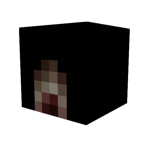 FocusST4 Minecraft avatar head, 3D render