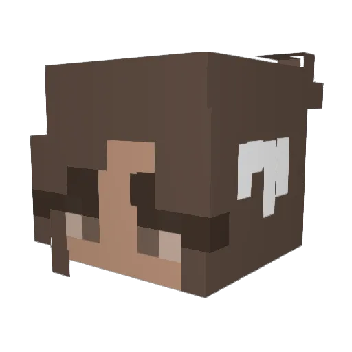 Focushaha Minecraft avatar head, 3D render