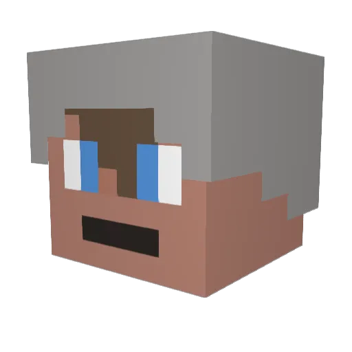 Fodern Minecraft avatar head, 3D render