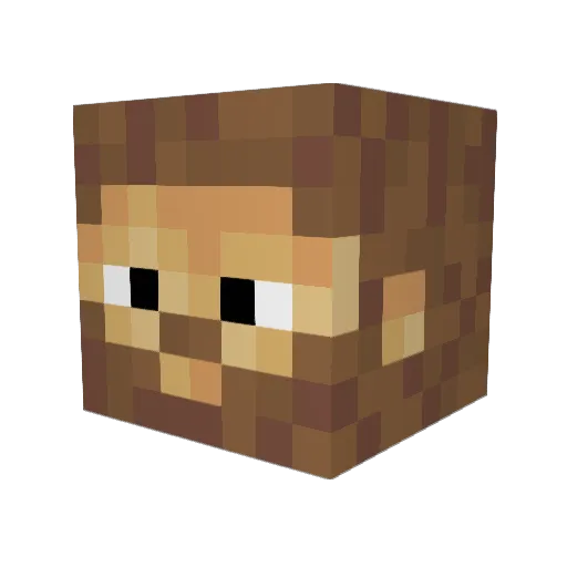 FoeHammer4218 Minecraft avatar head, 3D render