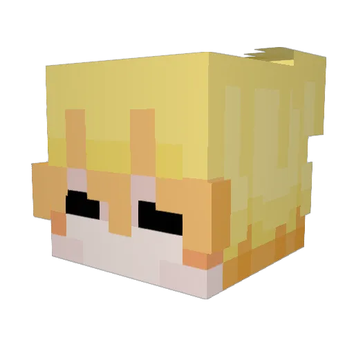 Foea3 Minecraft avatar head, 3D render