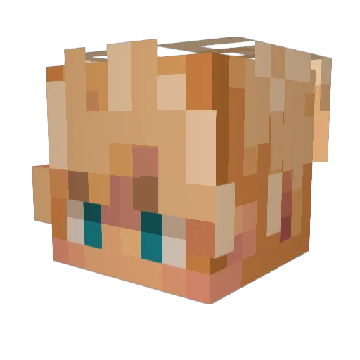 Foenum420 Minecraft avatar head, 3D render