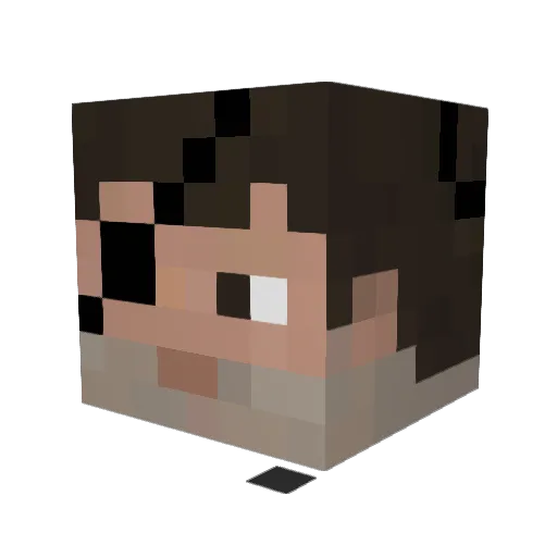 Foerschi Minecraft avatar head, 3D render