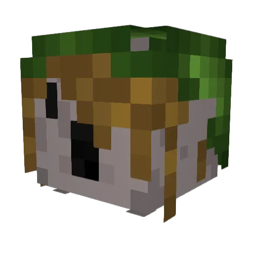 Foexle Minecraft avatar head, 3D render