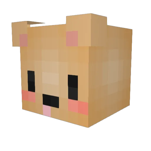 Fofinhu Minecraft avatar head, 3D render