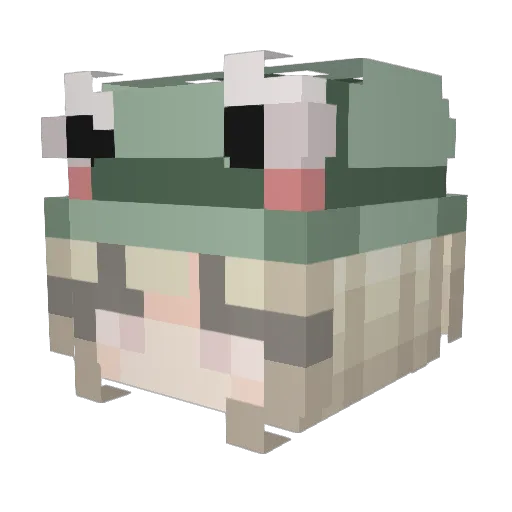 Fogginess Minecraft avatar head, 3D render