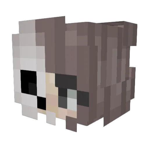 Foggish Minecraft avatar head, 3D render