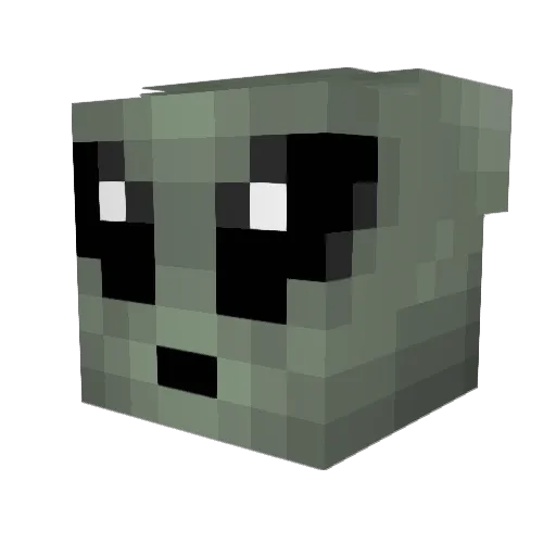 Foggle1 Minecraft avatar head, 3D render