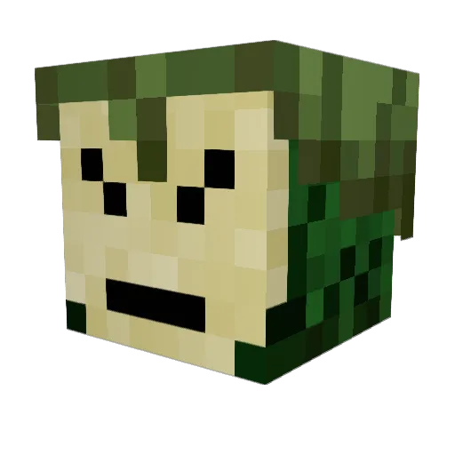 FoggySwamp Minecraft avatar head, 3D render