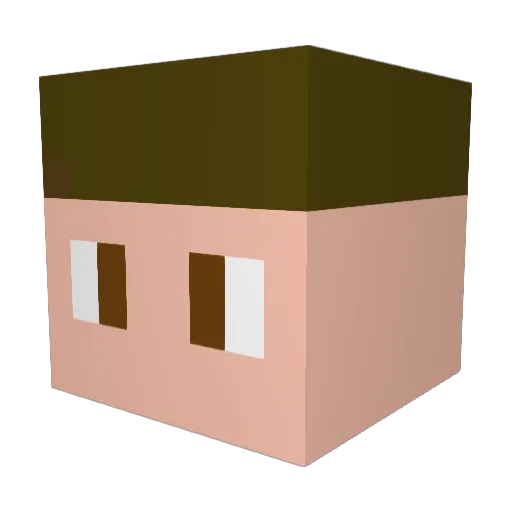 Fogle429 Minecraft avatar head, 3D render