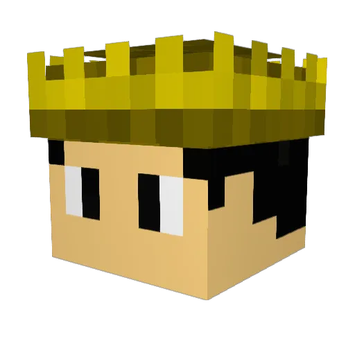 Fogliz Minecraft avatar head, 3D render