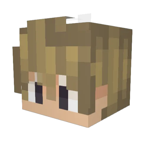 Fognix770 Minecraft avatar head, 3D render