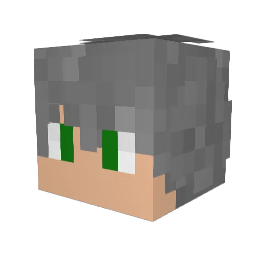 Fogolari Minecraft avatar head, 3D render