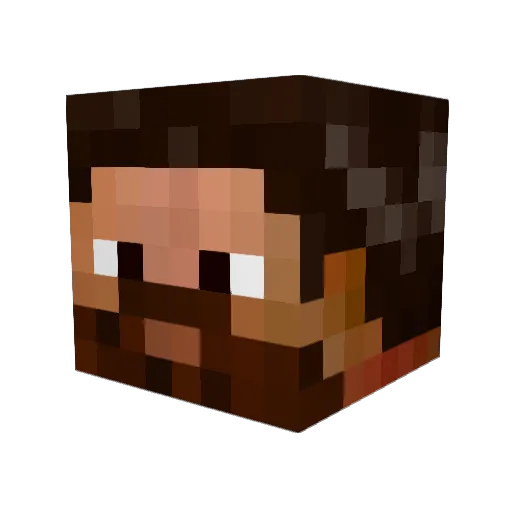 Fohtlo Minecraft avatar head, 3D render