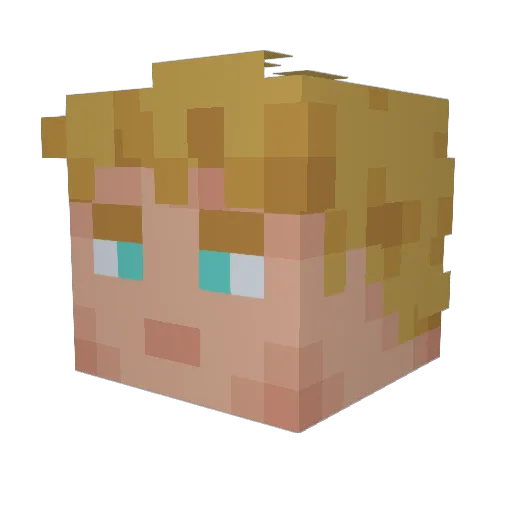 Foi1y Minecraft avatar head, 3D render