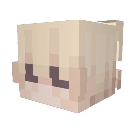 Foid6oy Minecraft avatar head, 3D render