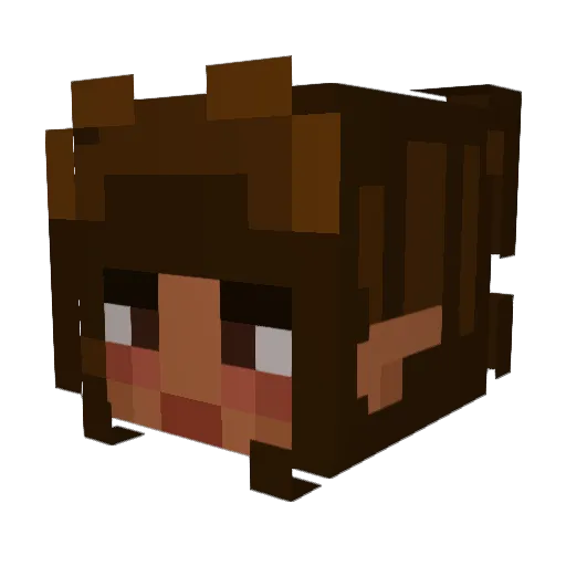 FoidularFoid Minecraft avatar head, 3D render