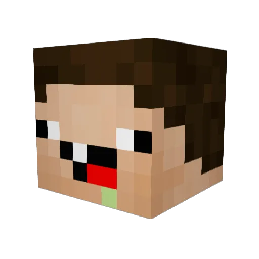 FoinB Minecraft avatar head, 3D render