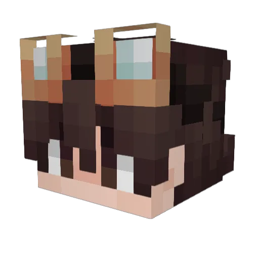 Foiness Minecraft avatar head, 3D render