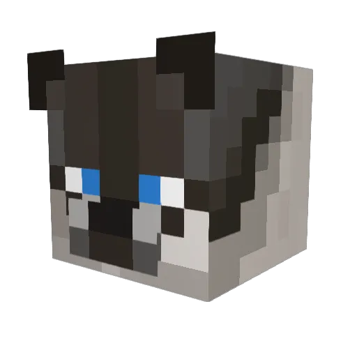 Foje69 Minecraft avatar head, 3D render